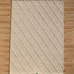 Decorative Area Hand Woven Rug SRN-041